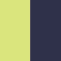 neon yellow/navy