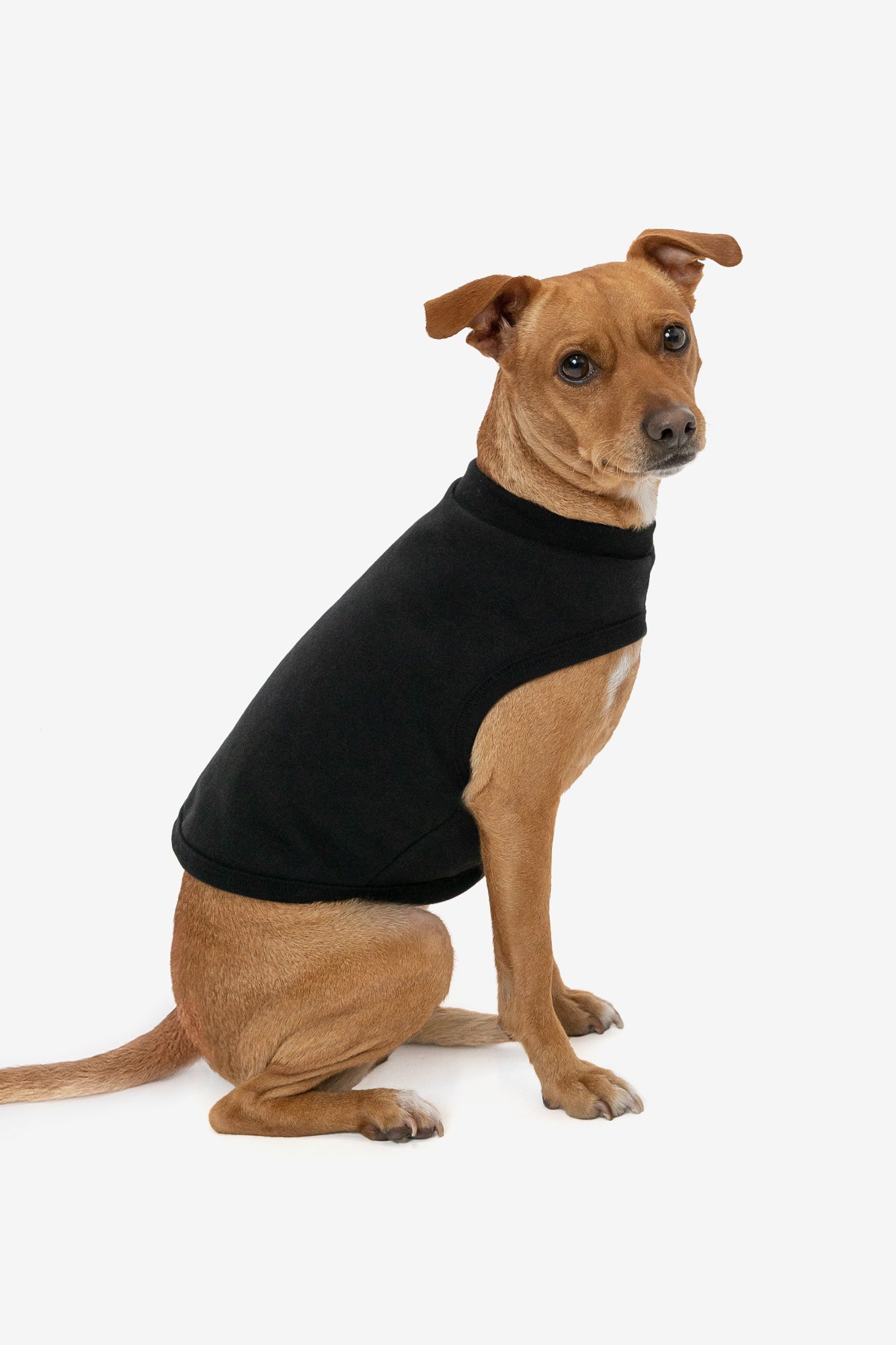 dog gear fleece HFDOGVEST