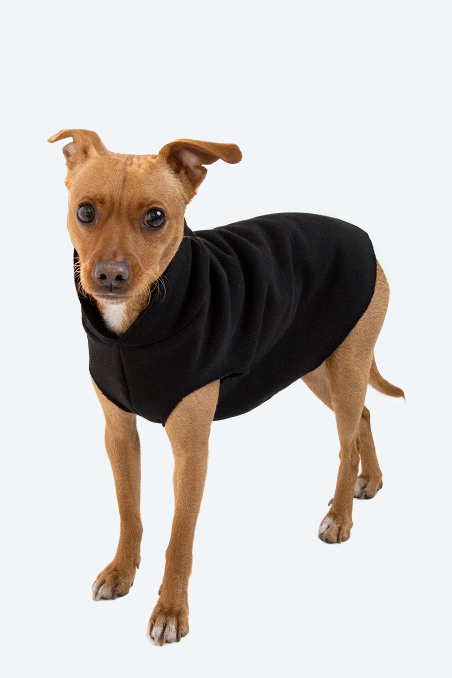 DOGSWEATER - Hooded Dog Sweater, Black / M DOGSWEATER - Hooded Dog Sweater, Black / M