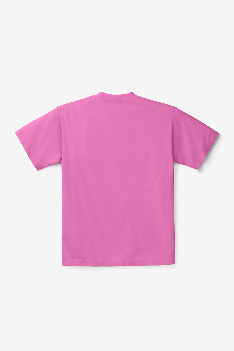 Pink Carnation