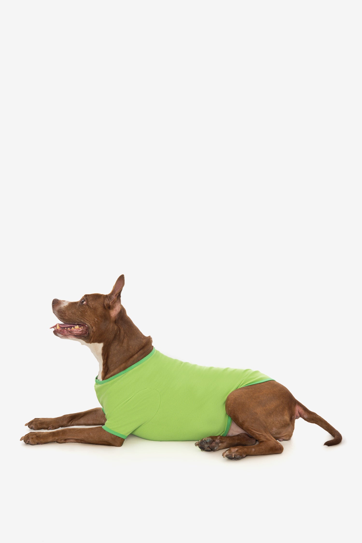 Light Green