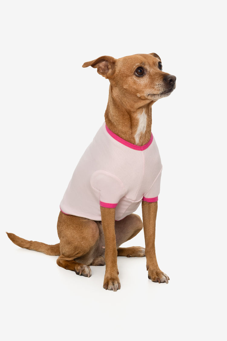 Light Pink/Fuchsia