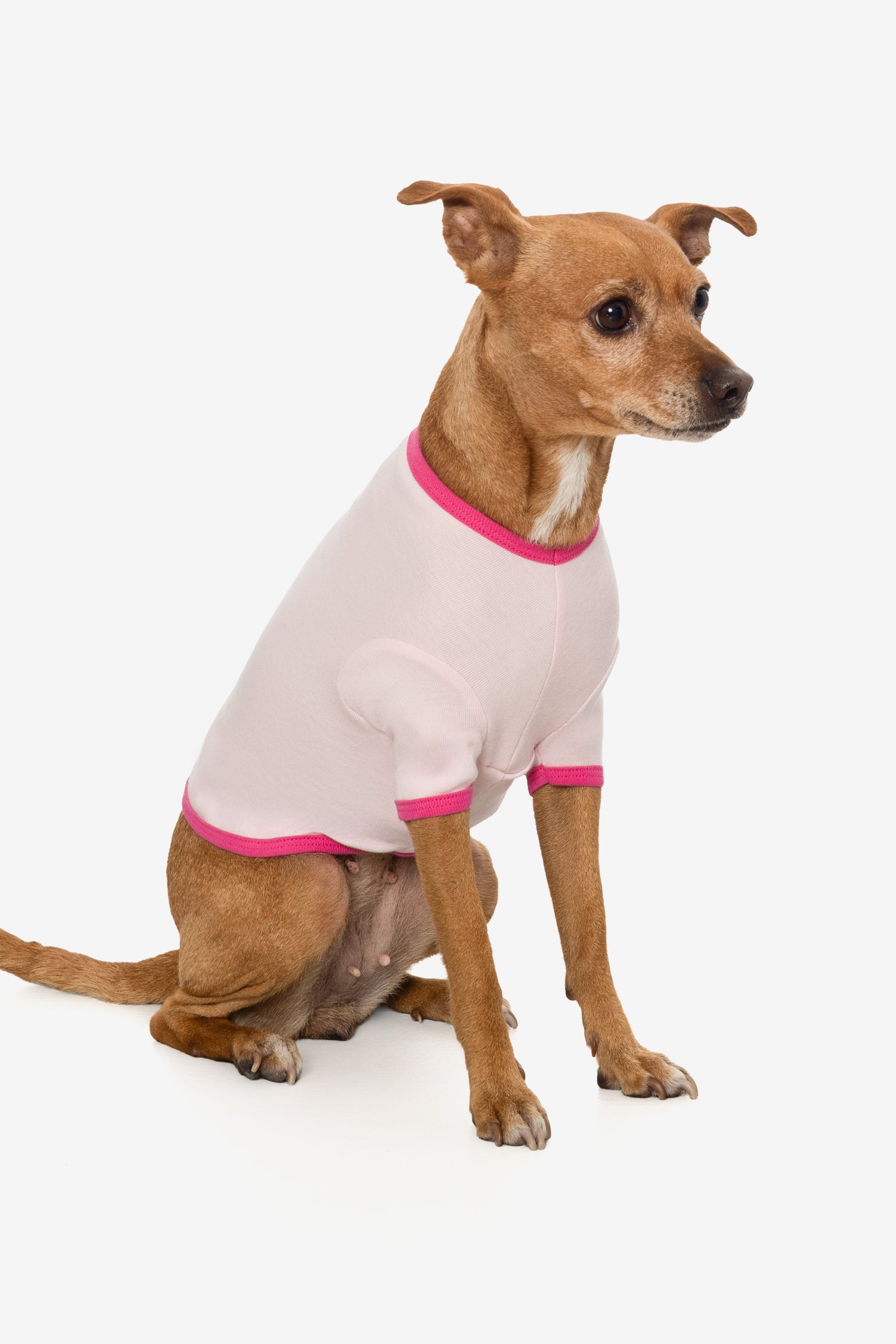 Light Pink/Fuchsia
