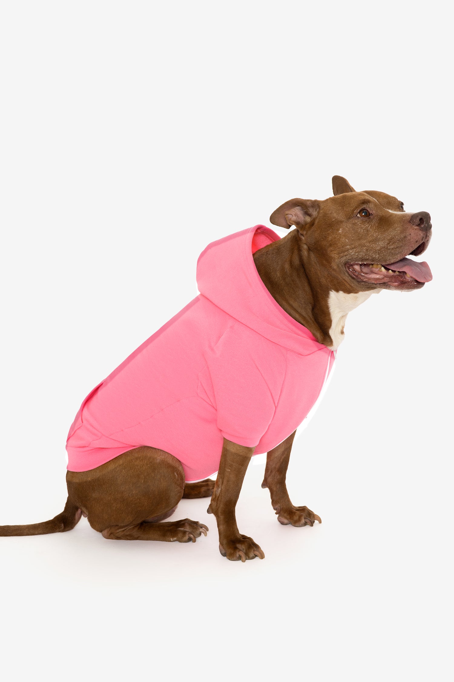Bubblegum Pink