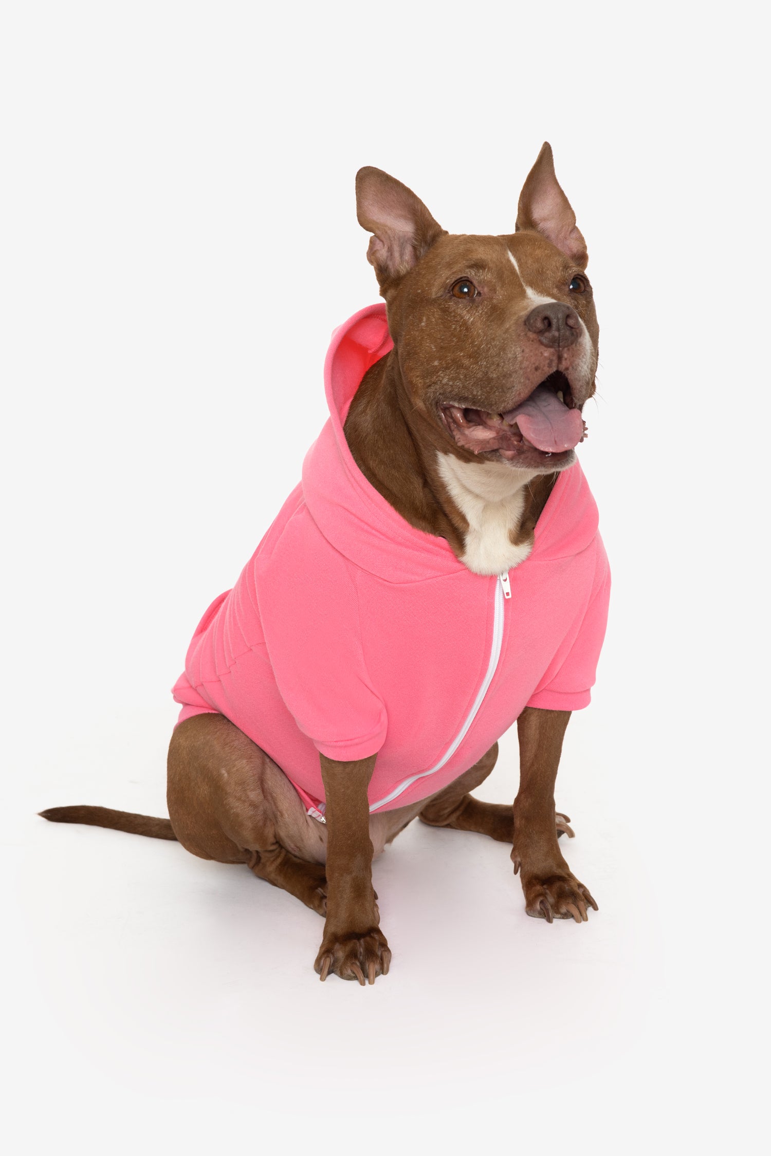 Bubblegum Pink