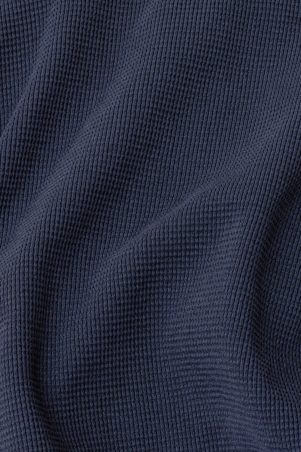 Dolphin Blue
