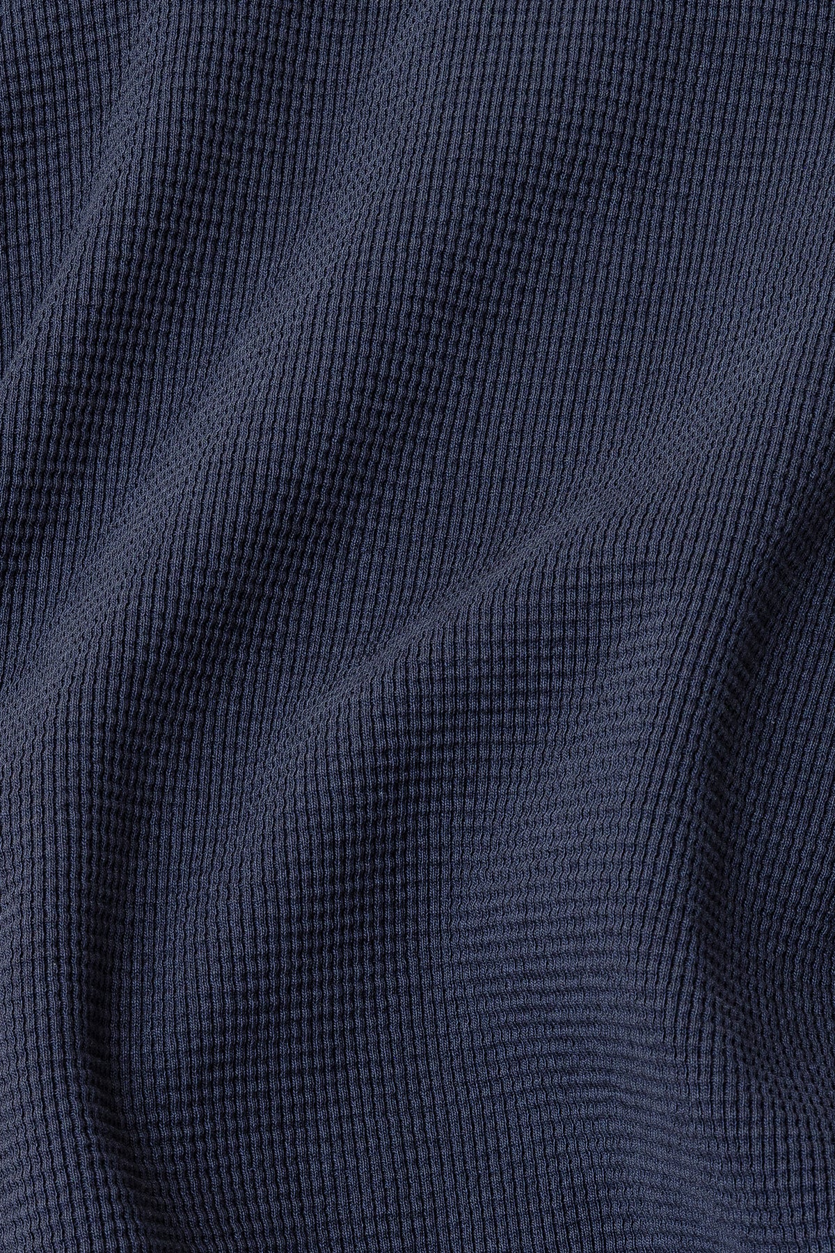 Dolphin Blue