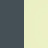 titanium/sherbet