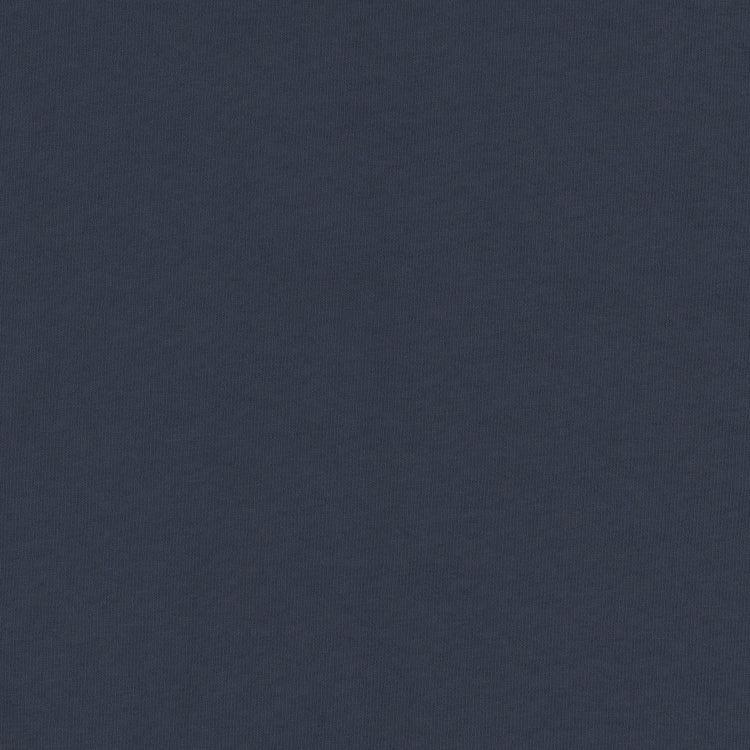 Dolphin Blue