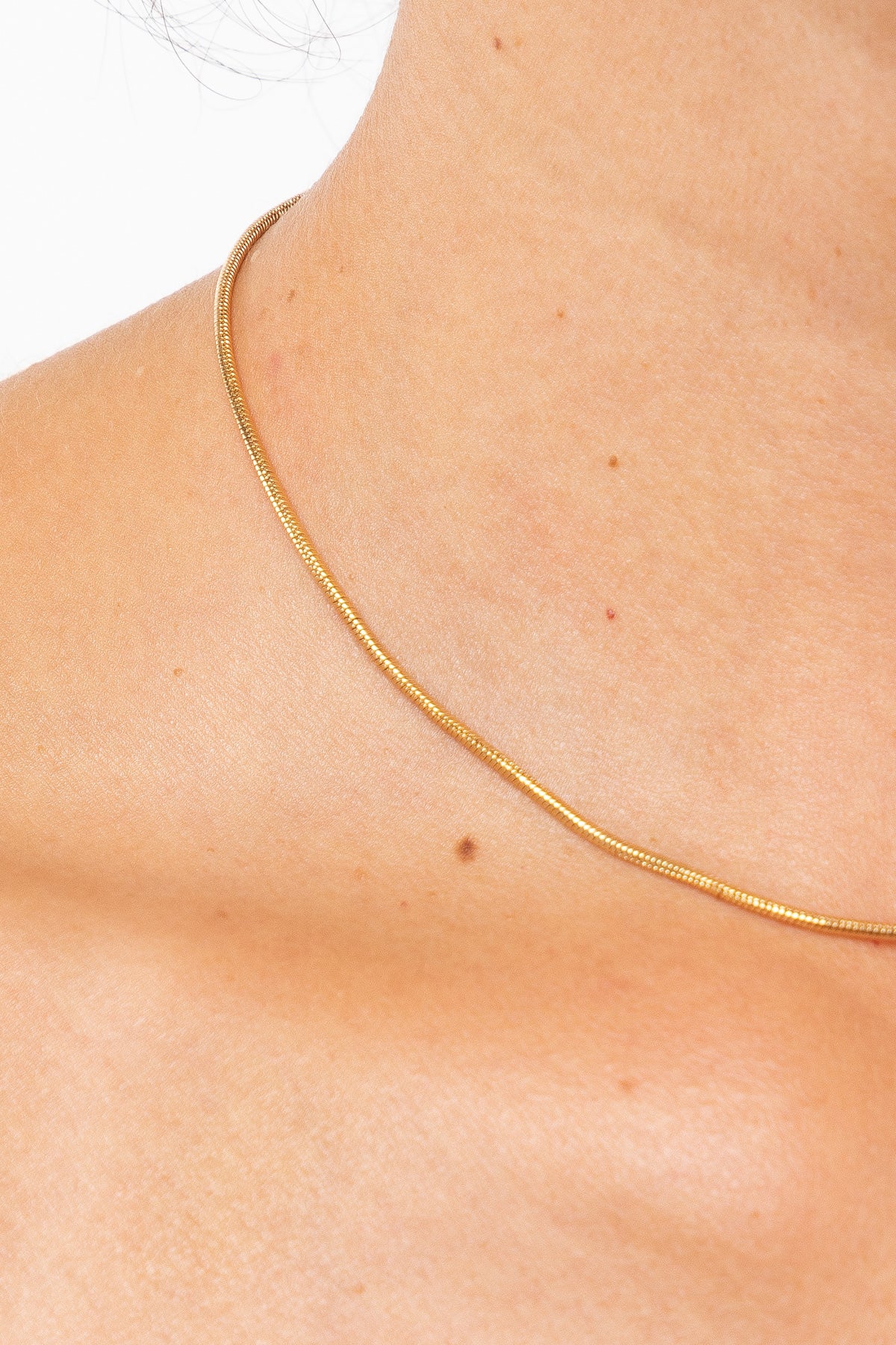 JWLSNK Snake Chain Choker - Main Image